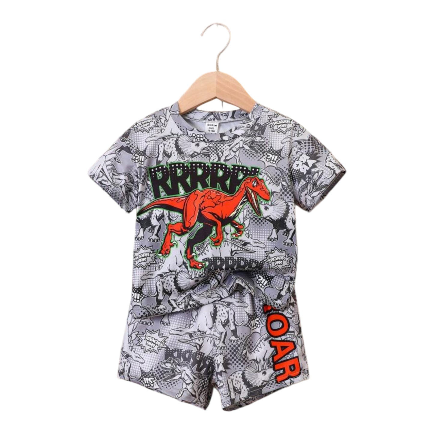 SHEIN Baby boy Dinosaur & letter graphic tee and shorts