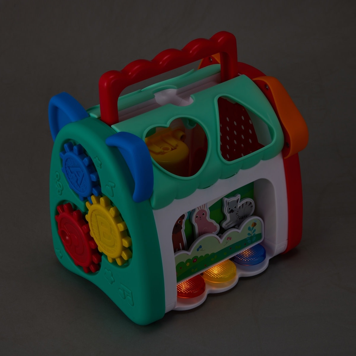 5 Piece Play & Learn Shape Sorter House